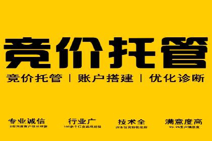 百度推广费用投入与转化率提升的经典案例